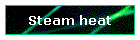 Steam heat